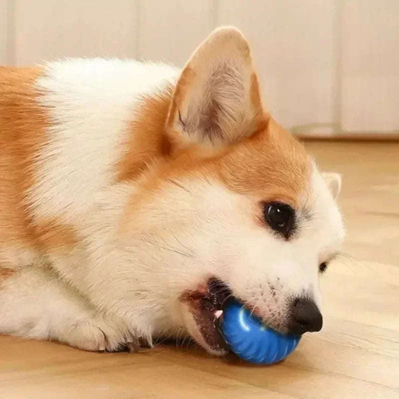 Interactive Self-Rolling Dog Toy