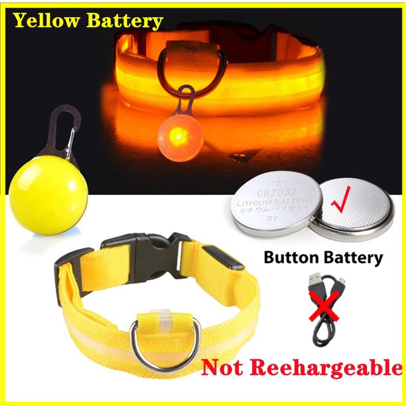 USB LED Glowing Dog Collar with Pendant
