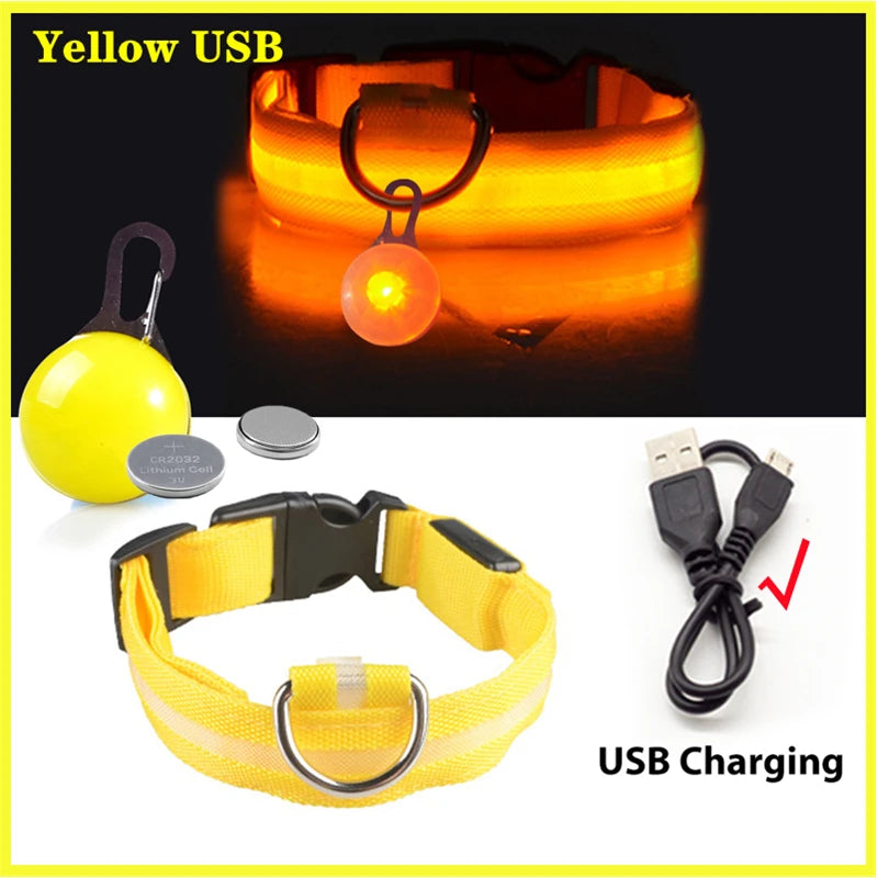 USB LED Glowing Dog Collar with Pendant