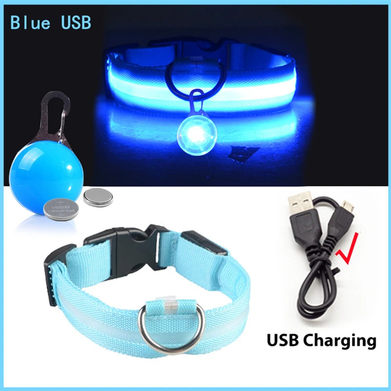 USB LED Glowing Dog Collar with Pendant