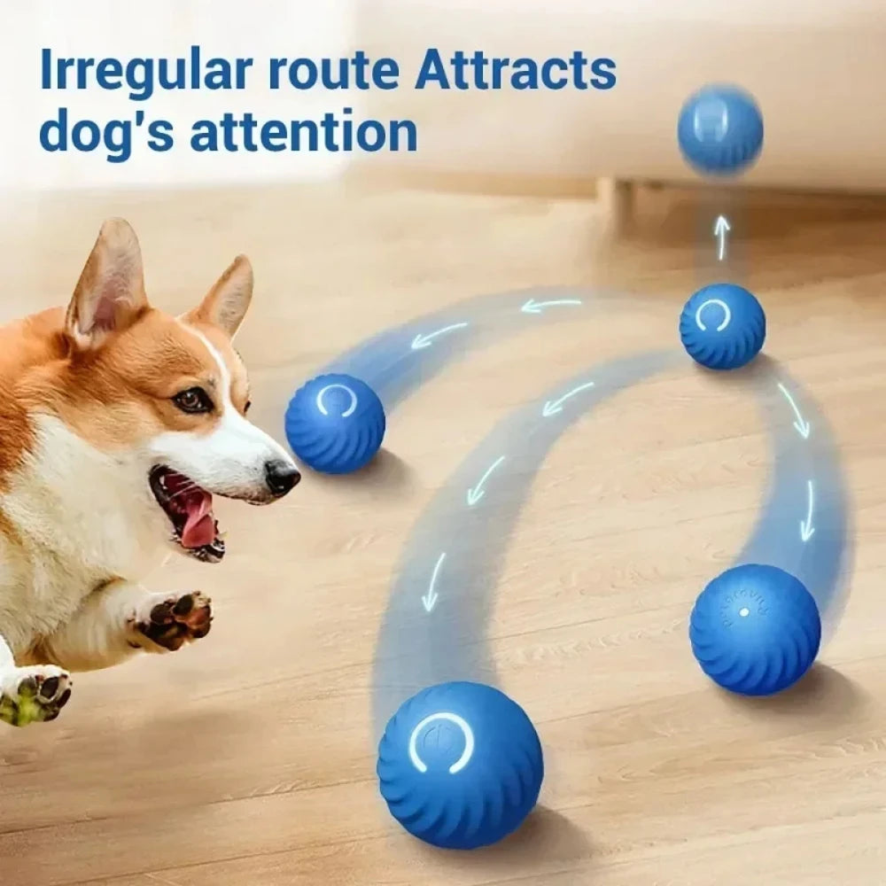 Interactive Self-Rolling Dog Toy