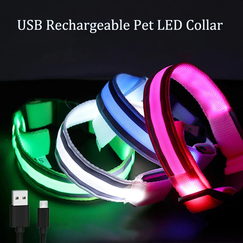 Kupingo™ USB Rechargeable Dog Collar Light