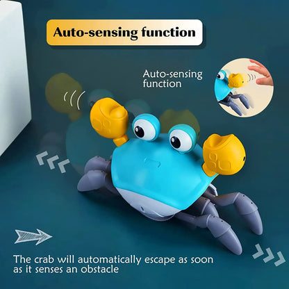 Kupingo™ Crawling Crab - Interactive Pet Toy