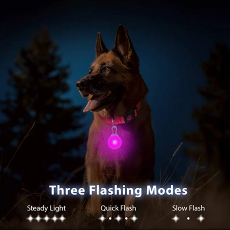 USB LED Glowing Dog Collar with Pendant
