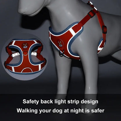 Kupingo™ Light-Up Harness