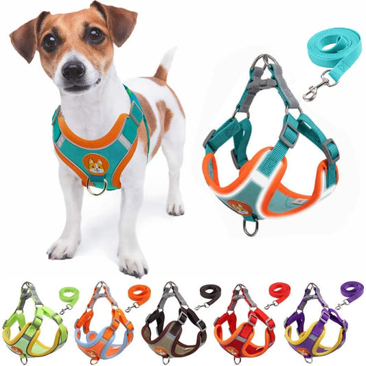 LumiLeash Light-Up Harness