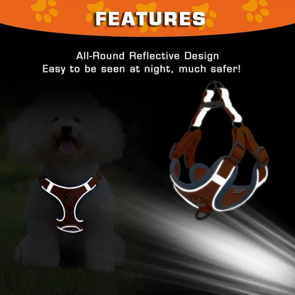 Kupingo™ Light-Up Harness