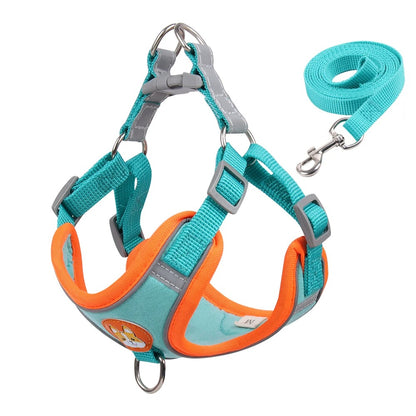 Kupingo™ Light-Up Harness