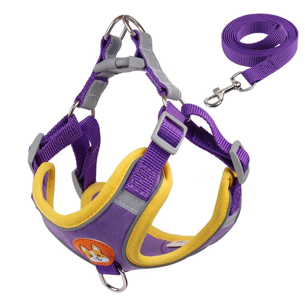 Kupingo™ Light-Up Harness